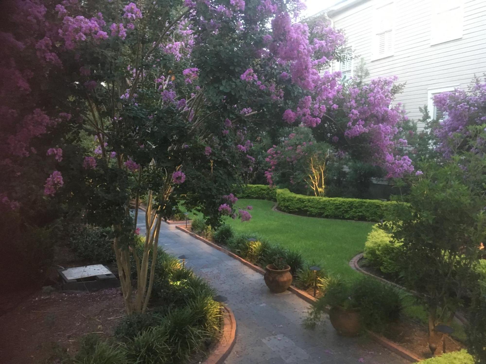 22 Charlotte Bed & Breakfast Charleston Luaran gambar