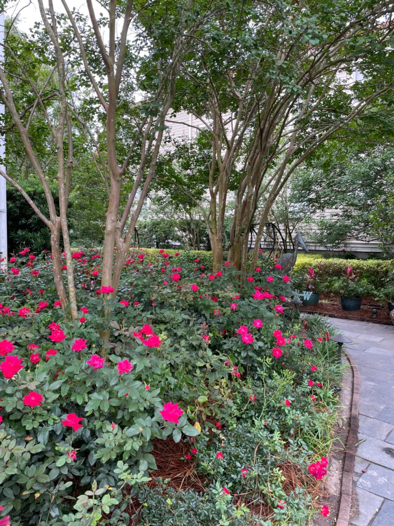 22 Charlotte Bed & Breakfast Charleston Luaran gambar