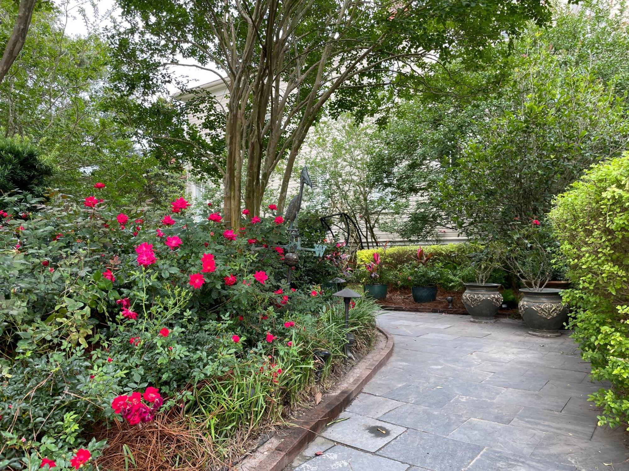 22 Charlotte Bed & Breakfast Charleston Luaran gambar